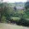 Sabie Star