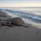 Hummingen Strand 21 - Dannemare