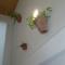 Rocio Rooms