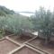 Apartment Rukavac 8839a