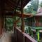 Rain Forest Guest House and Jungle Trekking - Bukit Lawang