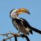 Waterberg Wilderness - ONE Namibia