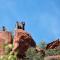 Waterberg Wilderness - ONE Namibia