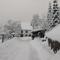 La Ferme du Vieux Sapin photo 11