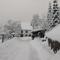 La Ferme du Vieux Sapin - La Bresse