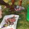 Zimbali Culinary Retreats
