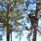 Le Ruisseau - EuroParcs photo 20