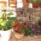 apartmani Bubnič Umag - 乌马格