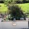 Ben Nevis Guest House