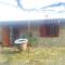 Xenis House