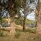 Botlierskop Bush Villas