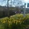 Rosebank B&B - Etchingham