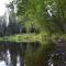 Saia Forest House