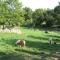 la ferme des 4 chenes