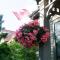 Shipwright Inn