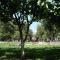Best choice in the heart of Yerevan - Jerevan