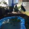 Adega guest house