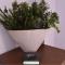 Green Point Home Chios
