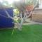 kinneret love sounds