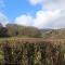 Capel- Y-Bryniau