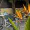 Ayia Napa Tropical Beach Villa