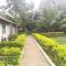 Friends Paradise