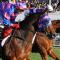Quest Ascot