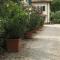 Villa Oliveto