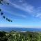 Summer Homestay