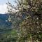 The Old Olive Mill House by TrulyCyprus