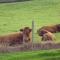 Whidlecombe Farm