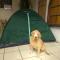 Hostel Residencial