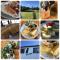 Summer Homestay