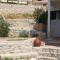 Apartments and rooms by the sea Zubovici, Pag - 4065