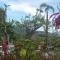 Lovina Paradise