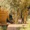 Lodge Quelana