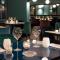 Hôtel-Restaurant Bel Ami