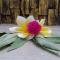 Palm Bamboo Hotel