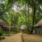 The Tropical Beach Resort