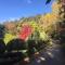 Chestnut Tree Holiday Units