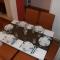 Piran Room's - 皮兰