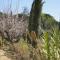 Domaine du Mas Foucray