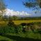 The Cottage