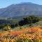 Le Nid au Pied du Mont Ventoux - Малосен