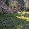 The Bluff on Whidbey - Оук-Харбор