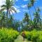 Yasawa Homestays