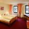 Hotel-Pension zum Markt - 托尔高