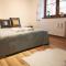 Apartament BazaTatry Świstak - 扎科帕内
