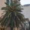 Apartman Centar Lux