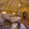 Luxury oasis camp